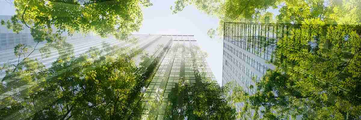 ESG marketing: Why it's important and how to draft a plan