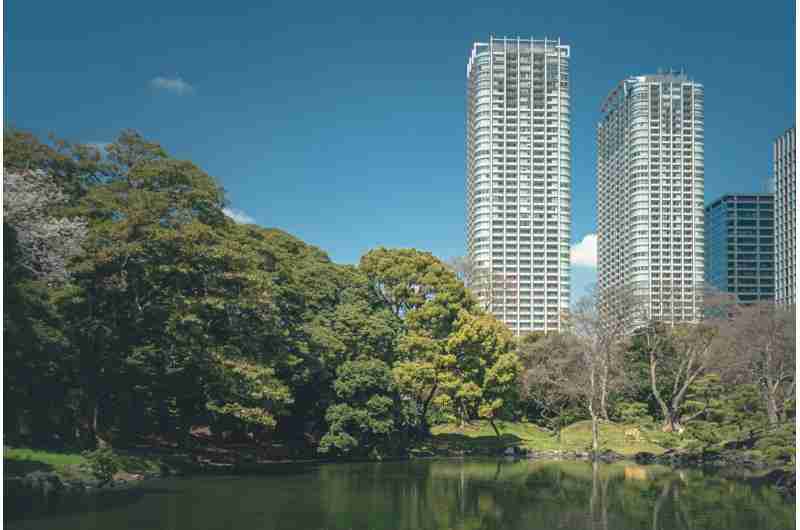 In rush to fight climate change, cities coordinate to battle heat with trees