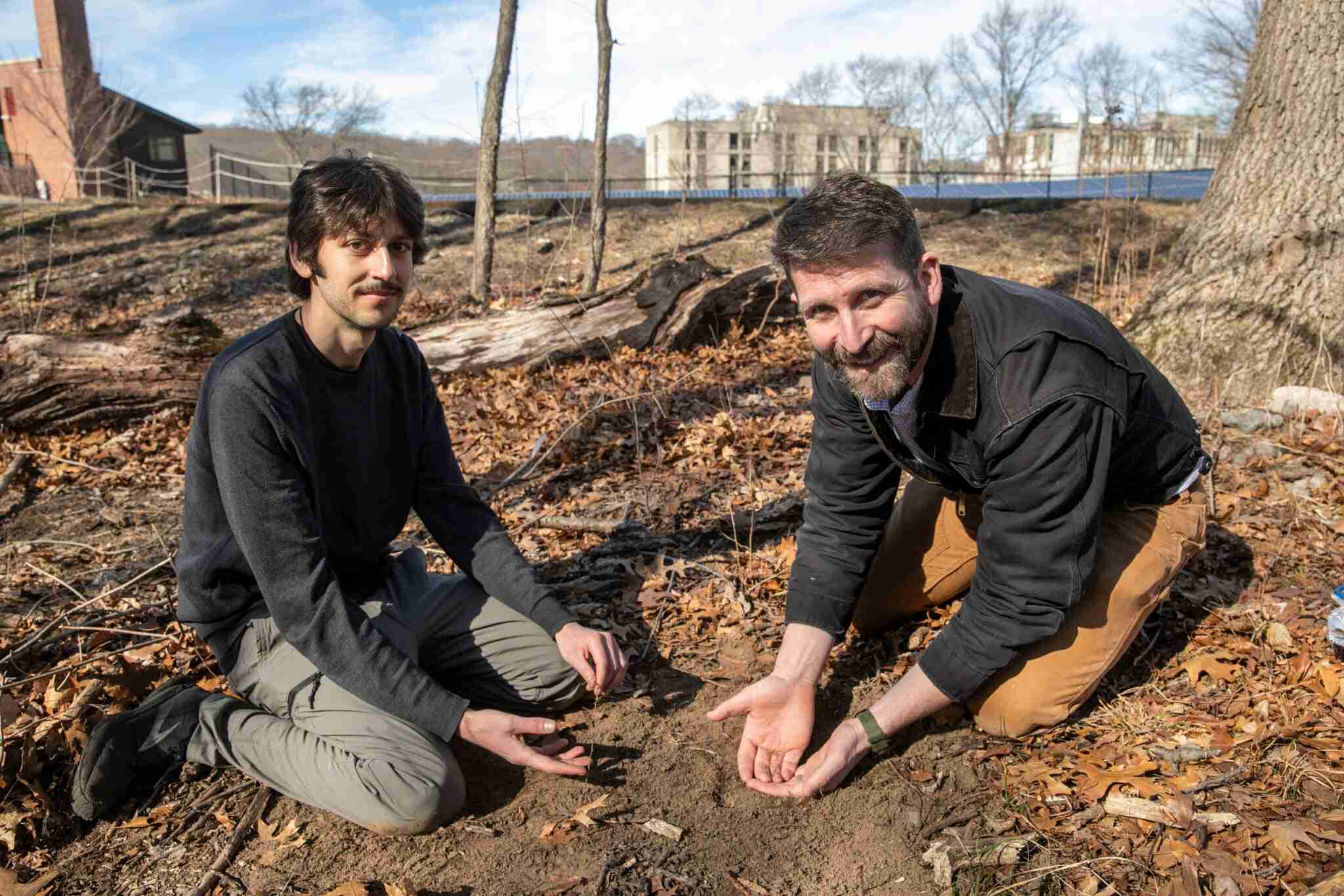 Getting to root of possible carbon storage changes due to climate change