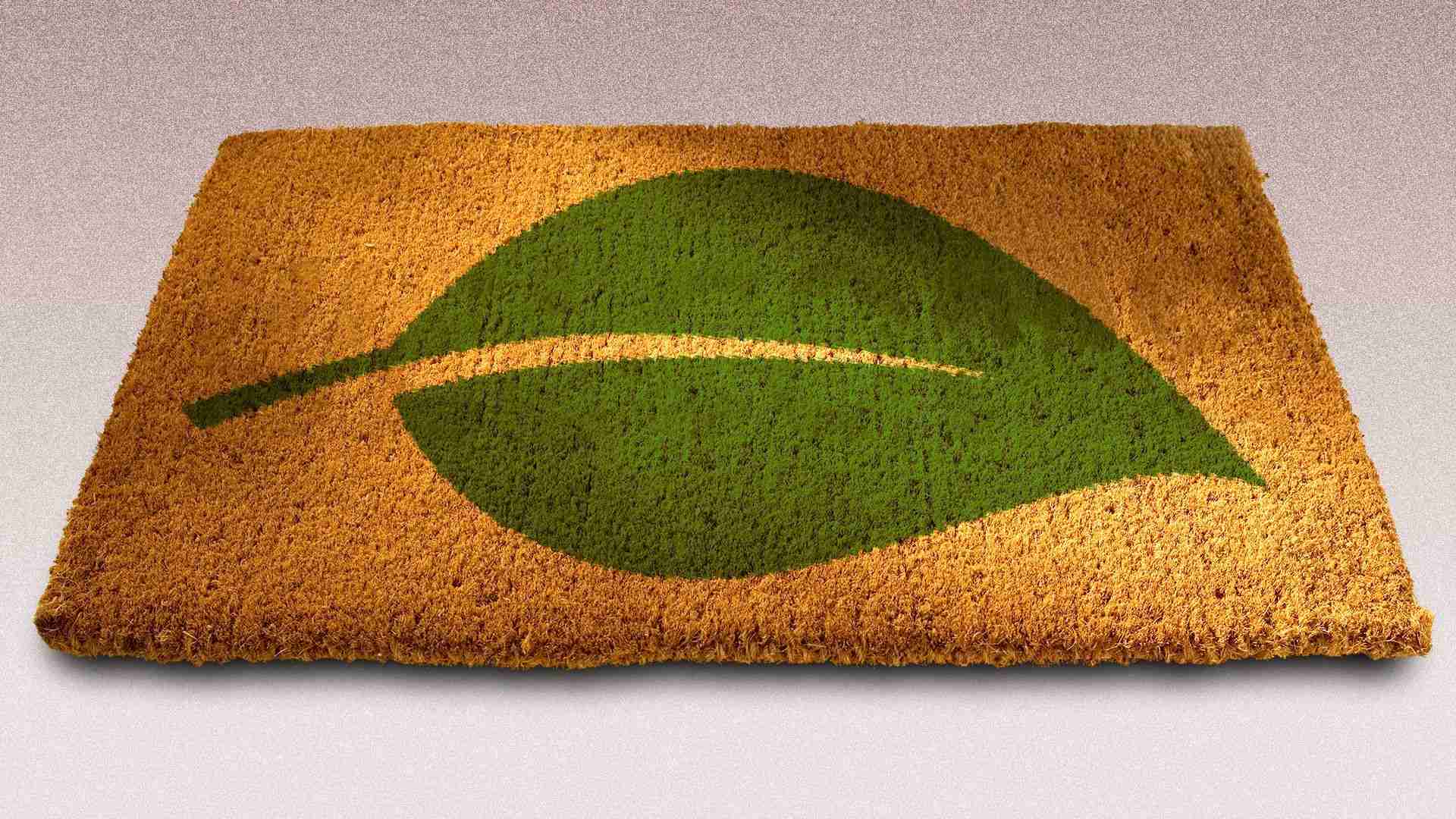 Chicago's market for green homes is growing