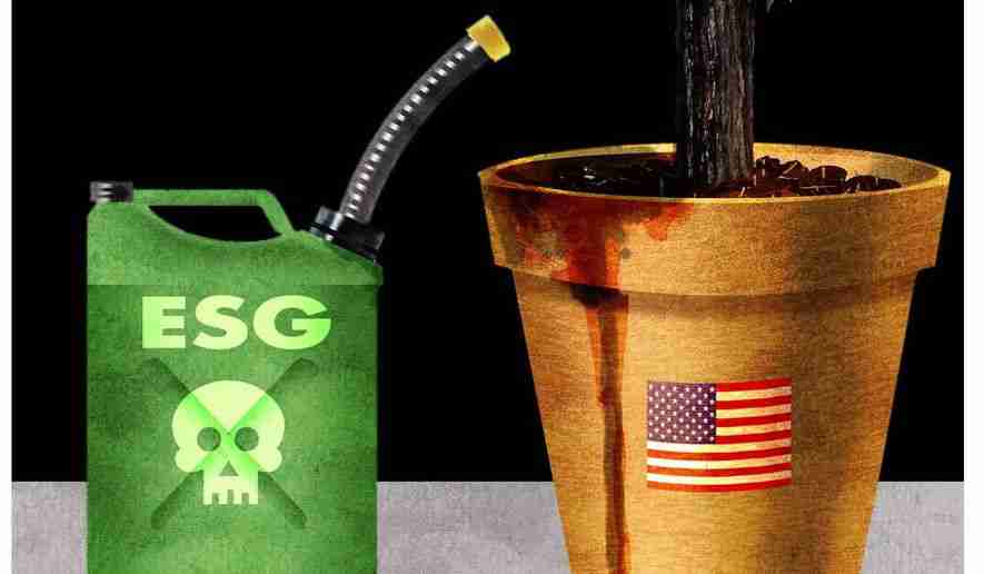 Don’t let ESG sully our environmental achievements