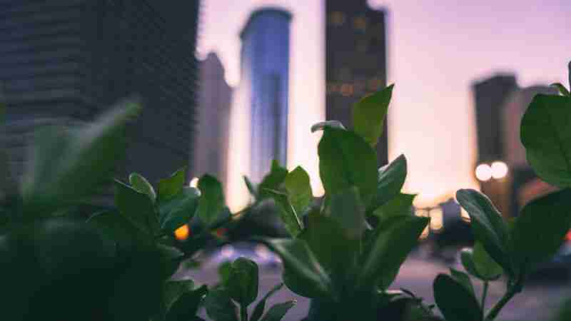 Law firms need more legal foresight and planning to push client ESG achievements