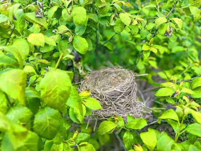Earth Matters: Observing climate change without leaving home