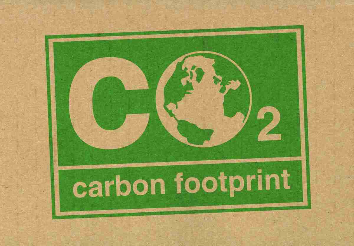 How to Reduce Your Carbon Footprint at Home