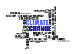 Cities, towns are frontline in addressing climate change 5 Cities, towns are frontline in addressing climate change