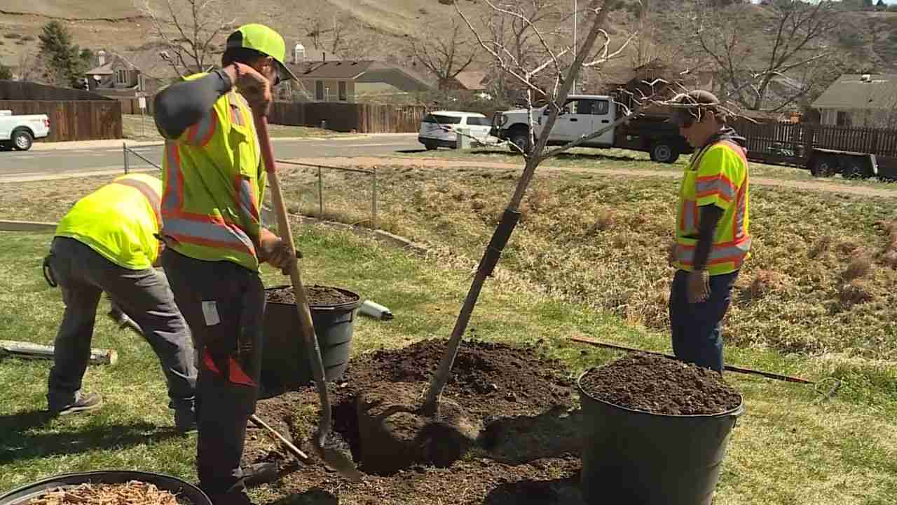 Creating an eco-friendly city: Colorado Springs plants five trees in honor of Arbor Day