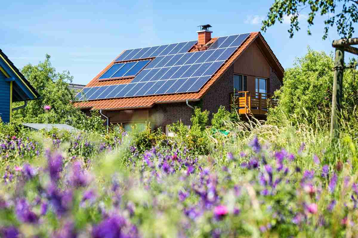 How Much Do Solar Panels for Home Cost?