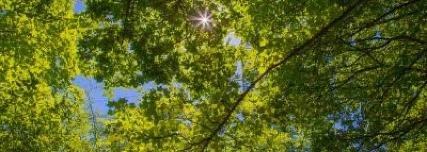 The key to the green building industry