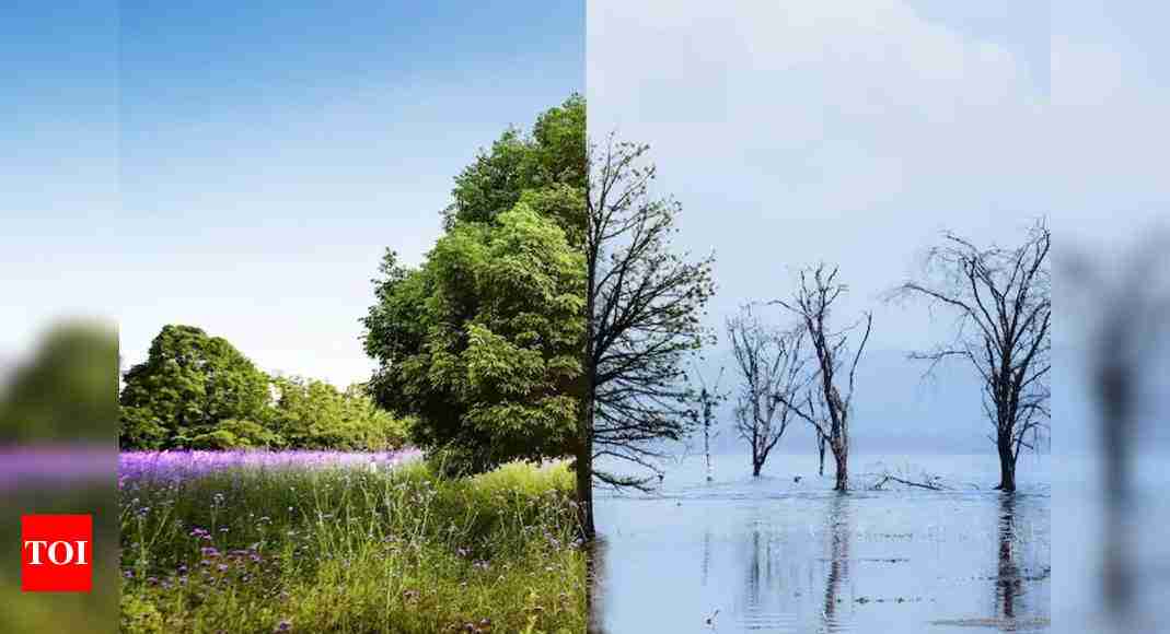 Climate change explained: Causes, impacts, and solutions