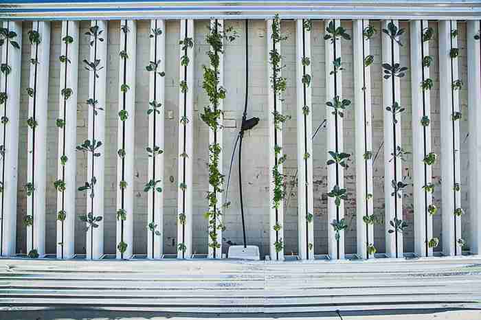 Vertical Farming: The Only Way Is Up?