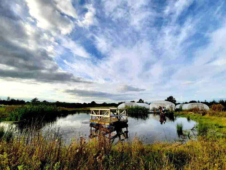 New eco-farming zone in Somerset puts nature first