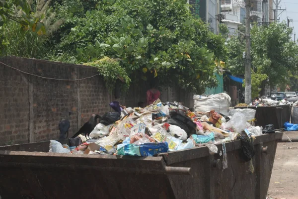 Exploring Sustainable Alternatives To Combat Plastic Pollution