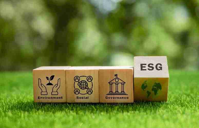 Experts Reveal Impact of ESG Policies and Why Businesses Can’t Ignore It
