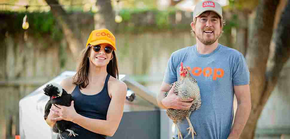 ‘Flocksitting’ Startup Coop Expands to DFW to Babysit Backyard Chickens