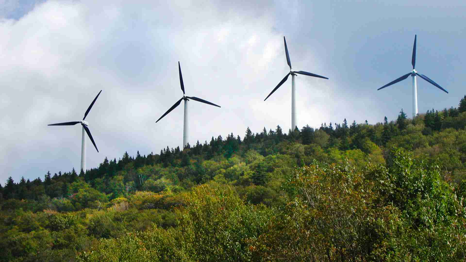 Potential Financial Losses from a Renewable Energy Transition are Concentrated Among the Wealthy