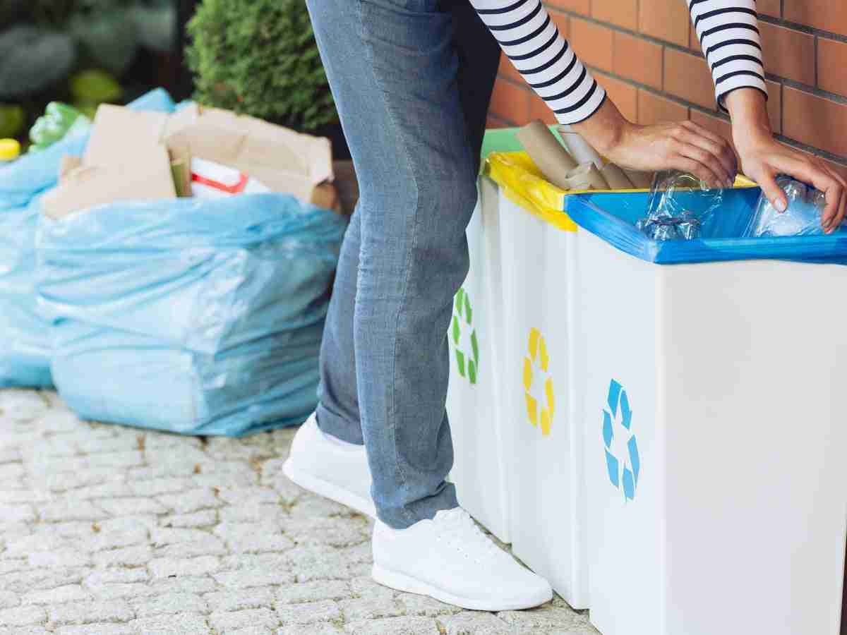 Emerging Green Priorities: How Most Adults are Becoming Environmentally Conscious