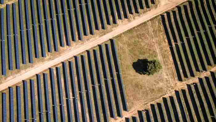 ESG investors play the long game