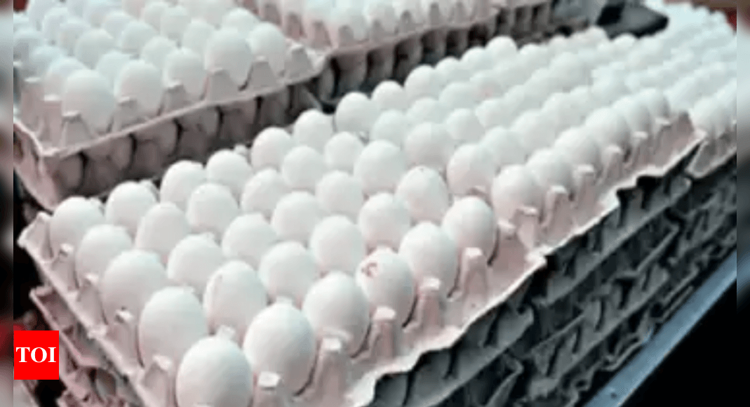 Chicken-and-egg situation: Climate change cuts Bengal egg production by a 4th