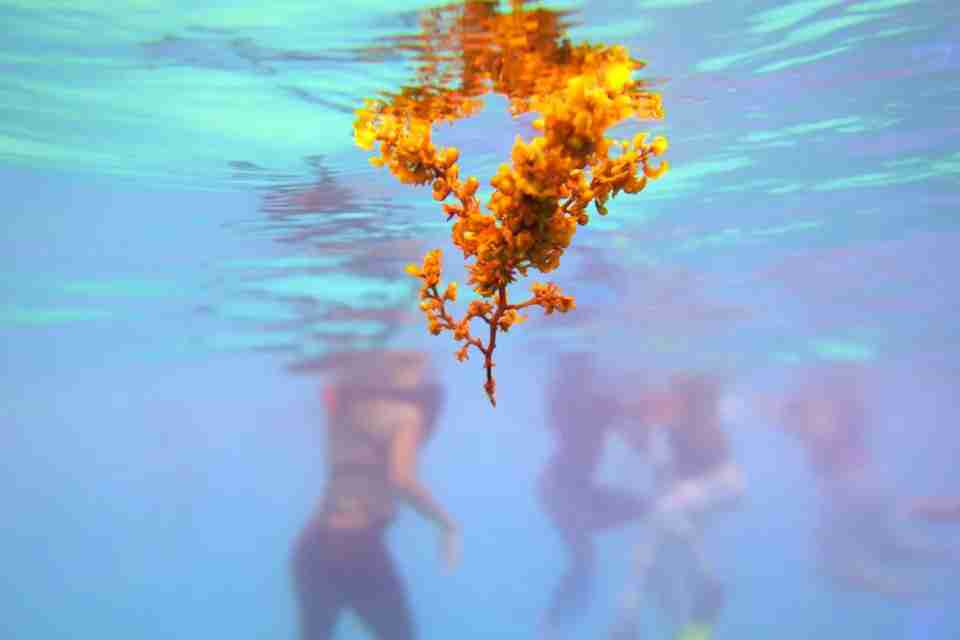 Here’s How Climate Change Impacts The Caribbean