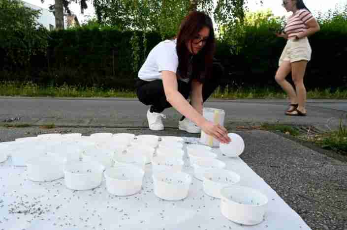 Croatia targets latest climate-change threat: mosquitoes