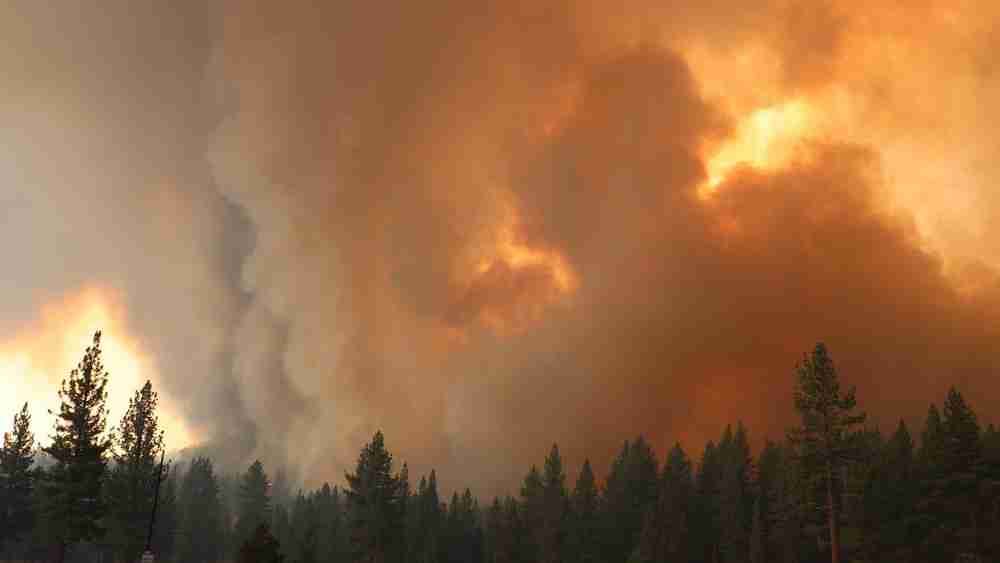 Climate Change Caused 172 Percent More Land to be Burned by Wildfire, Study Finds