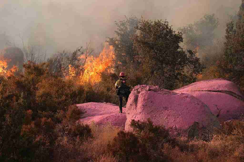 Climate change fans the flames: The escalating threat of wildfires