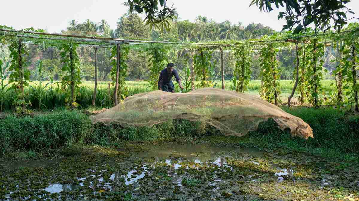 They swim against the current of climate change Premium