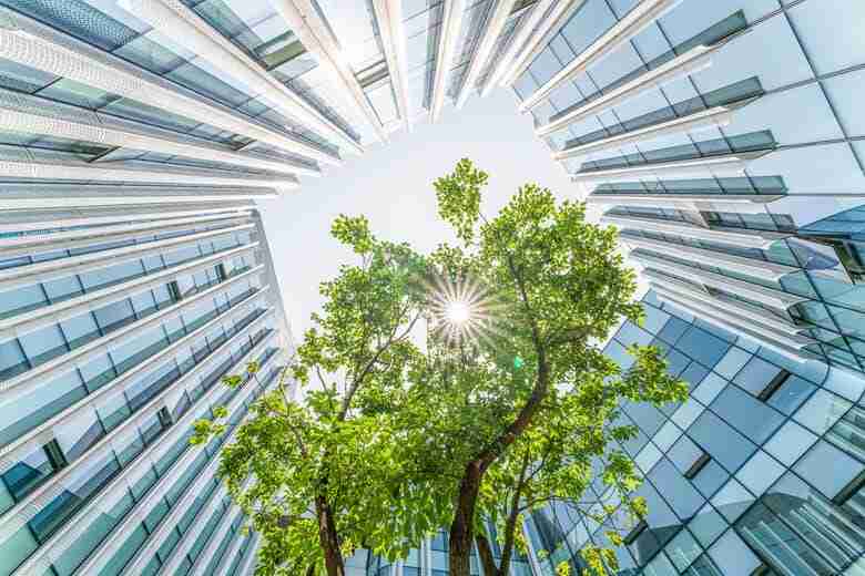 Exploring the Impact of ESG on Real Estate