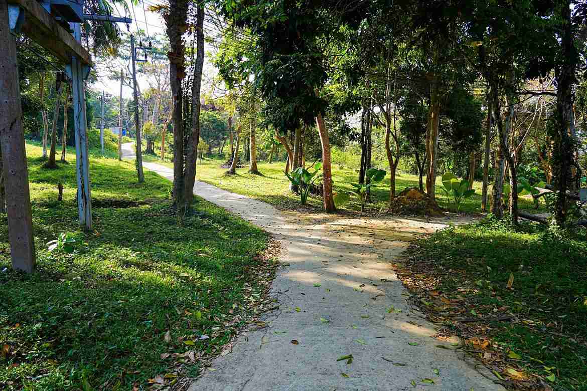 Red tape vs. red states: Europe, North America diverge on ESG hurdles