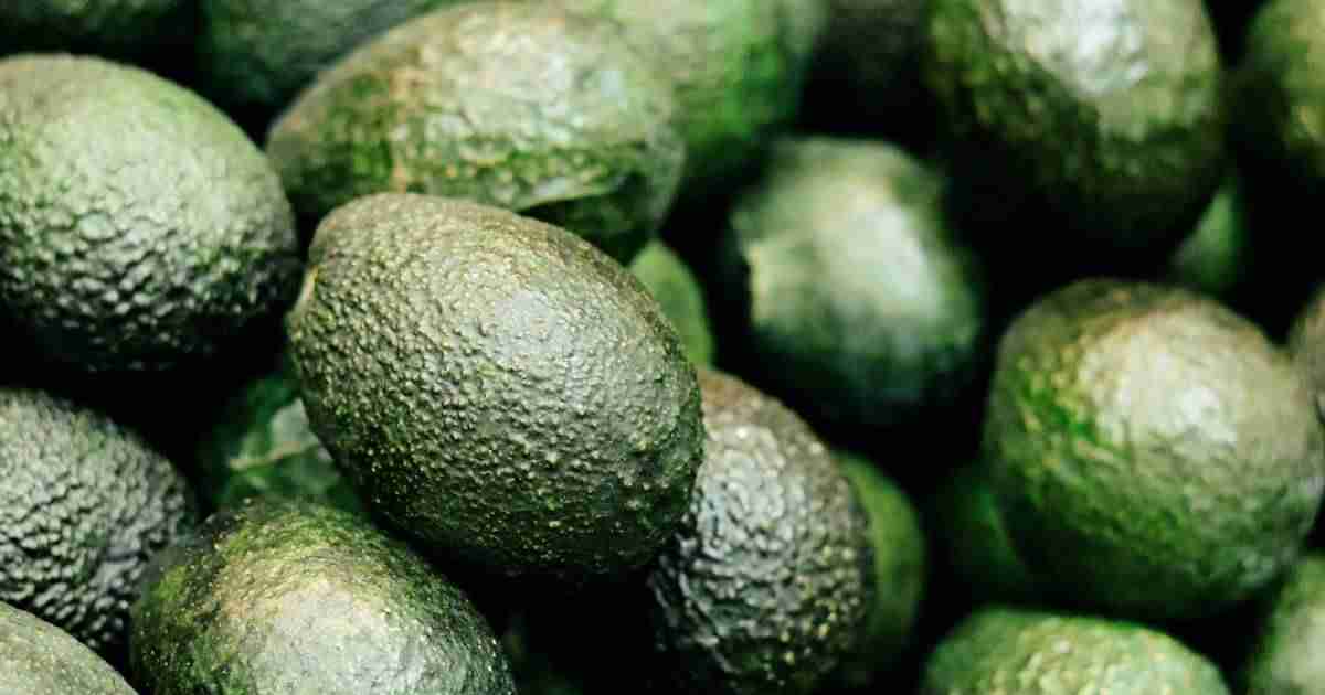 20 beloved foods that could disappear forever because of climate change