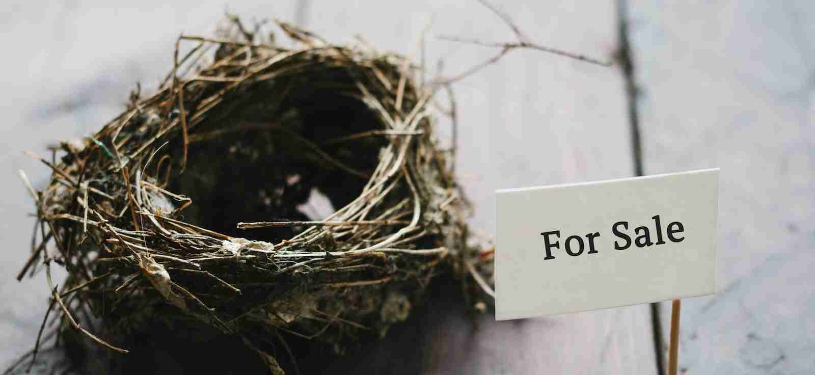 Realty Sage is Revolutionizing the Green Real Estate Market