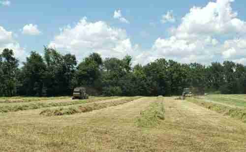 GREEN BUILDING REGULATIONS: SUSTAINABLE PRACTICES FOR A GREENER FUTURE