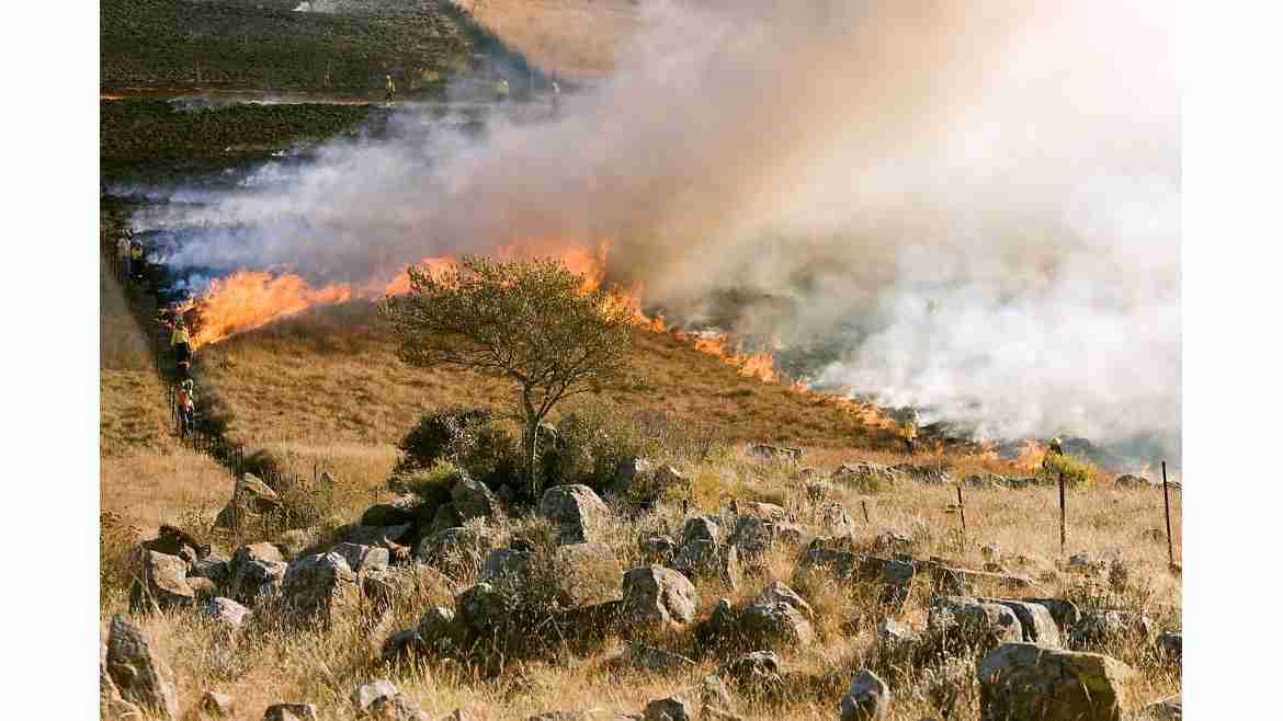 Is This What To Expect From Tesla Home HVAC?