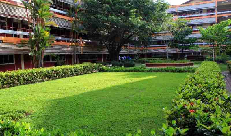 How to Build a Sustainable and Eco-Friendly Tiny House