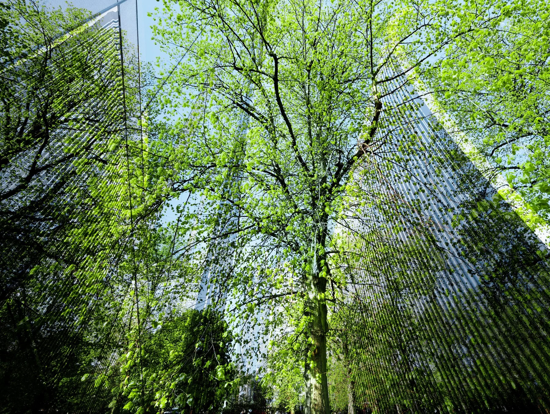 Sustainable buildings: Reducing carbon impact and energy use