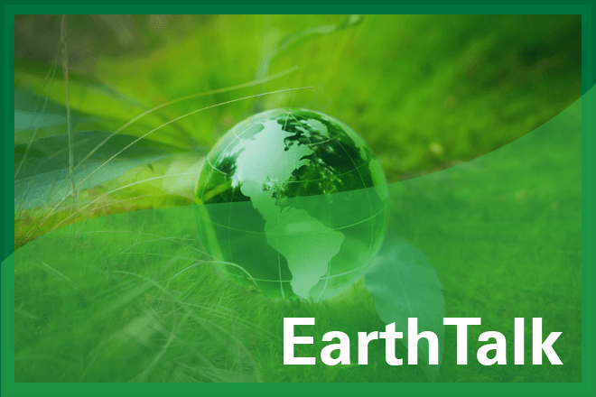 EarthTalk - Are there any electric vehicles available that can charge using solar power?