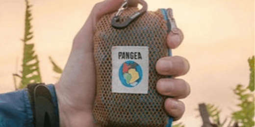 ESG, Saudi Arabia: Sustainability Is Fundamental Aspect of Vision 2030, Nation Committed to Achieving Net-Zero Target