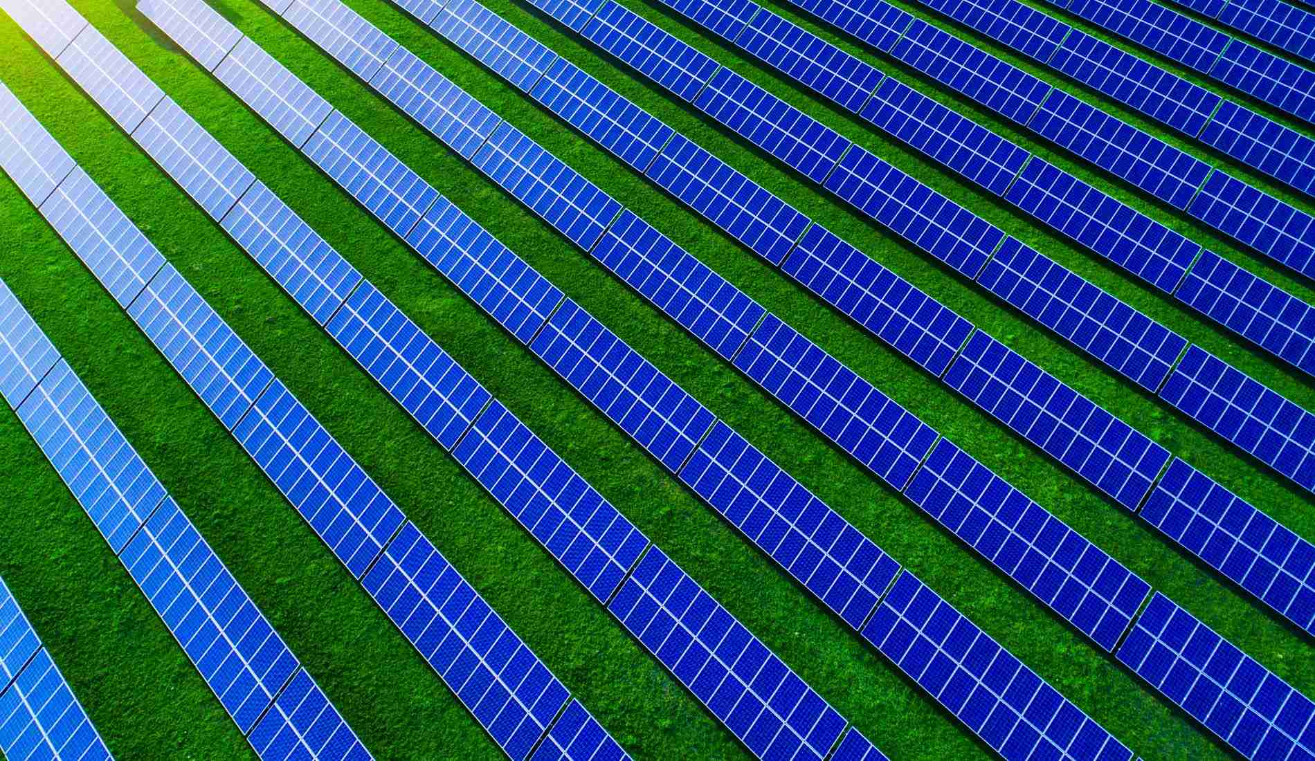 Woke or Broke? Five Business Reasons Why ESG Will Survive the Culture Wars