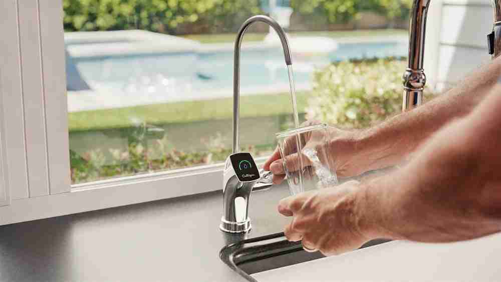 Going Green: Make Your Home More Environmentally Friendly