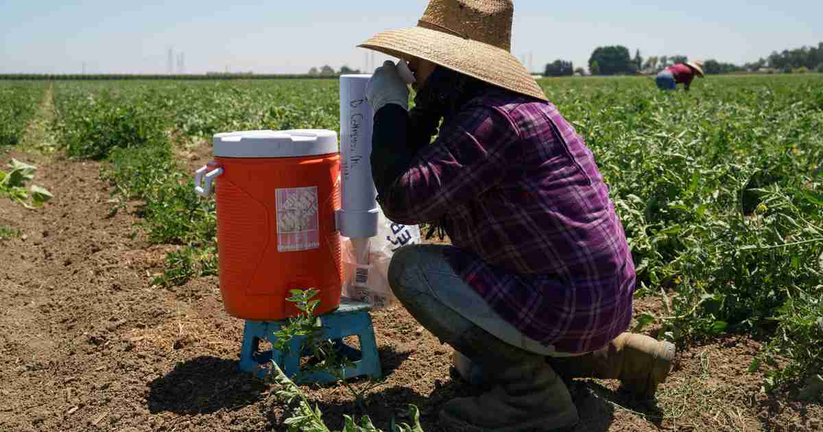 More people feel the heat of climate change as July shatters temperature records