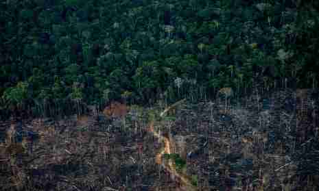 Carbon credit speculators could lose billions as offsets deemed ‘worthless’