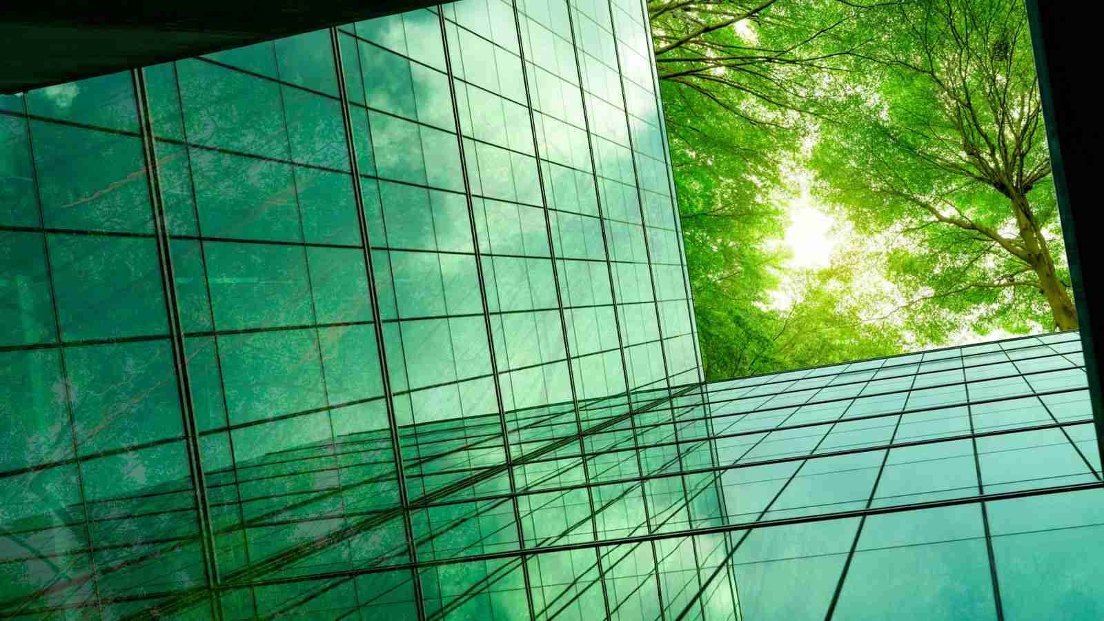6 CFO tips for handling the backlash against ESG