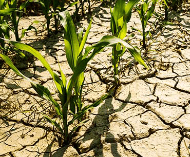 Government to tackle climate change carbon pricing