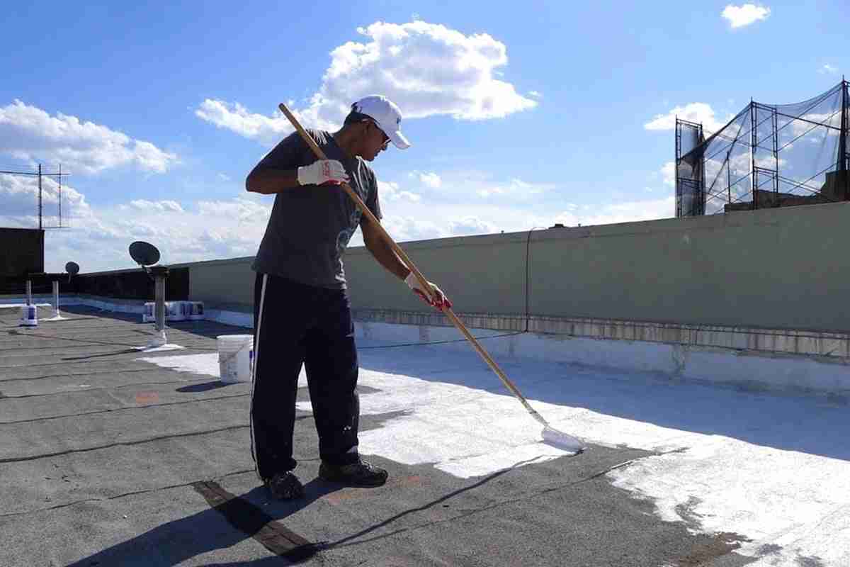 How Cities Are Adapting to Climate Change