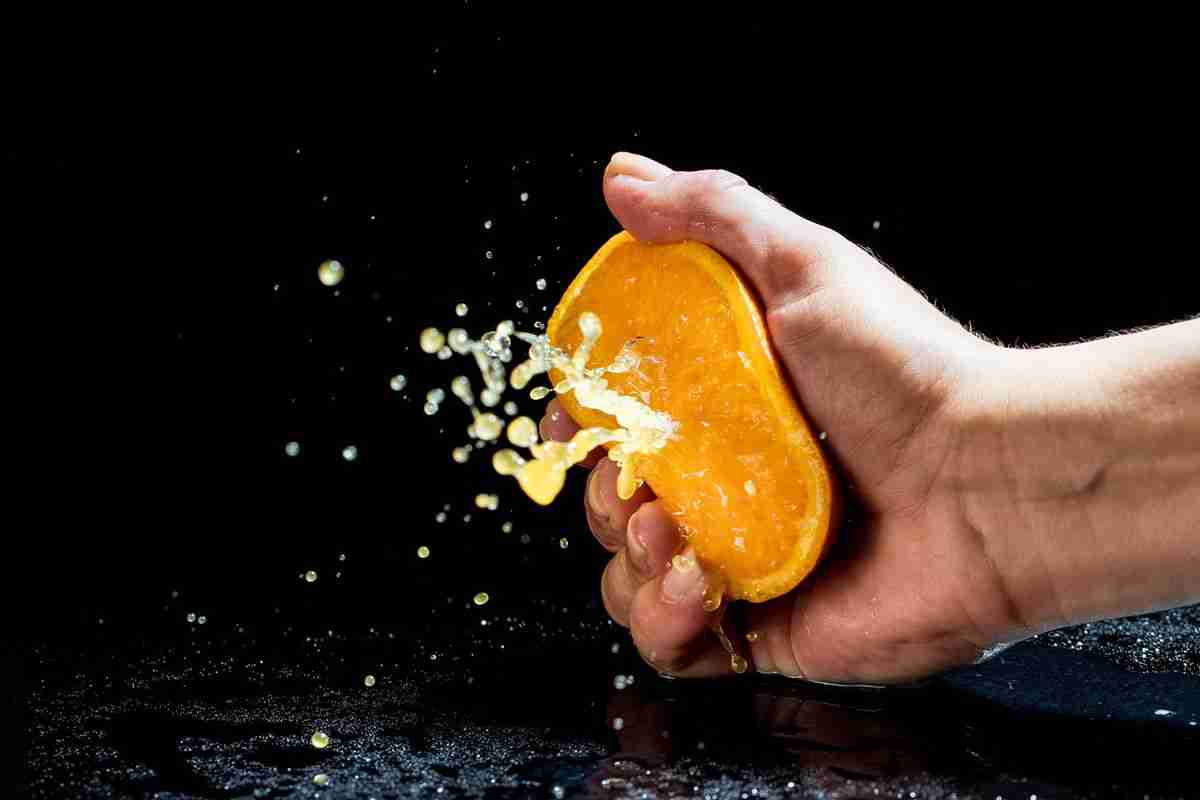 Florida oranges soon to soar in price, due to climate change and invasive insects