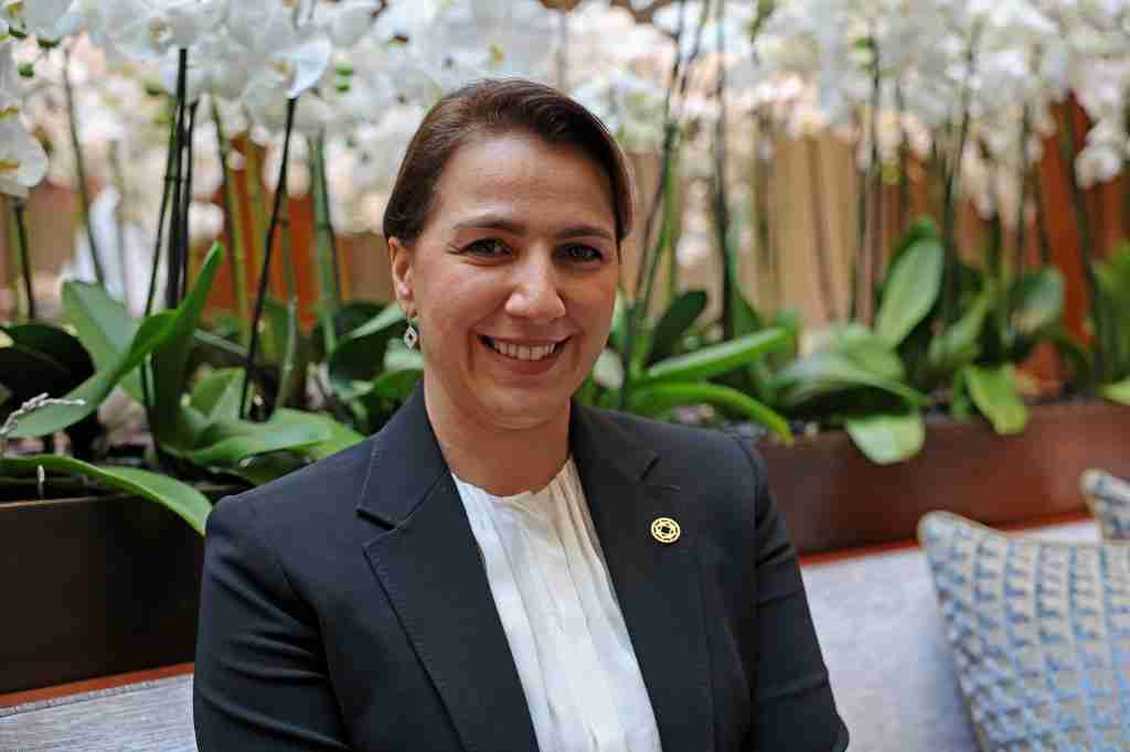 ‘UAE is ready with money and technology to help Africa with its transformation’