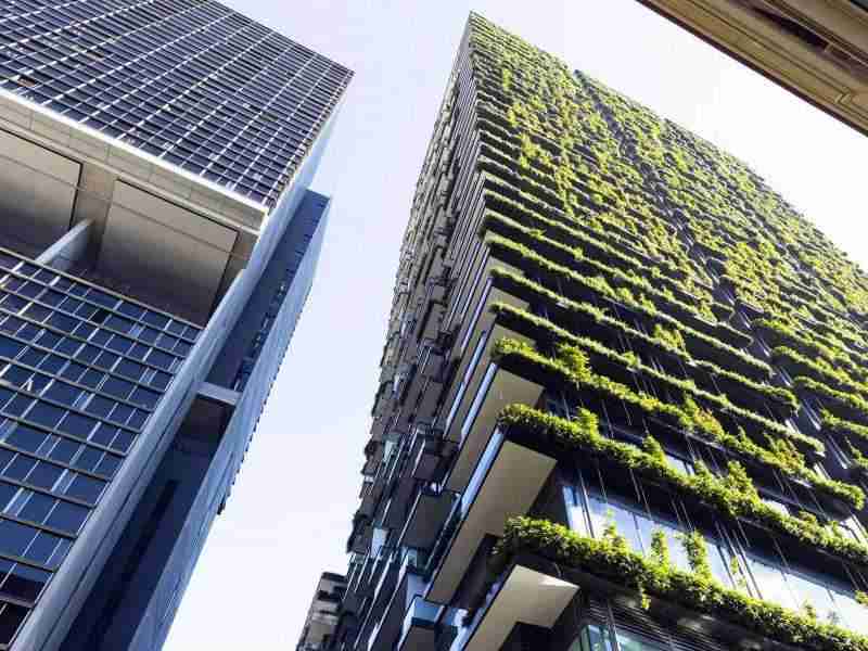 Exploring the Diverse World of Green Buildings