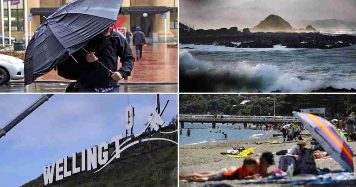 Does climate change mean we should rethink the seasons?