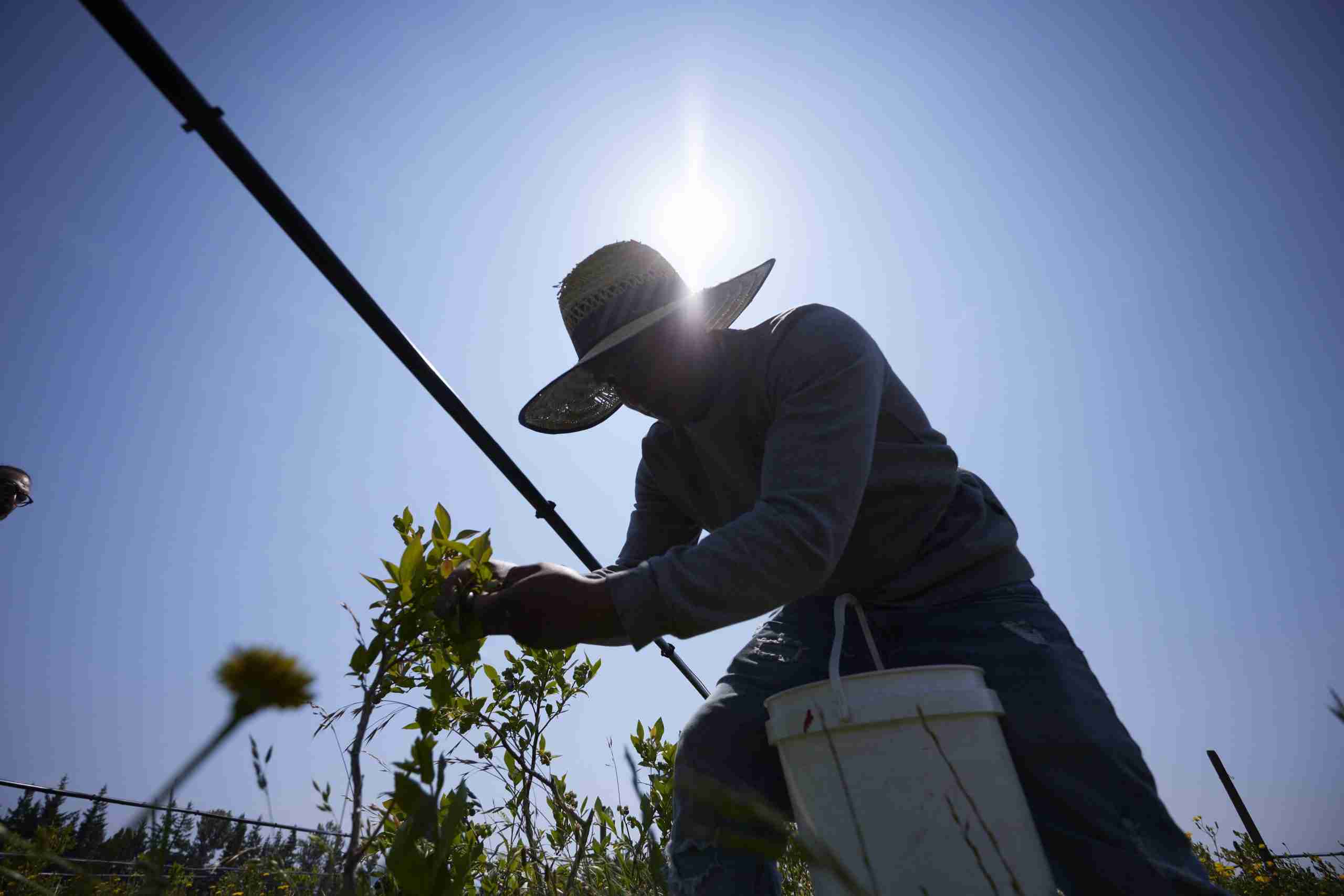 Climate Change Is Affecting Rural Workers in Myriad Ways