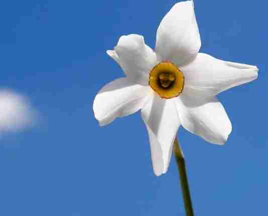 An analysis of financial materiality in the wake of the “woke” and ESG debate